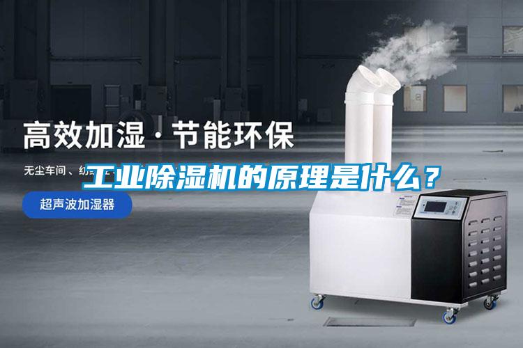工業(yè)除濕機(jī)的原理是什么？