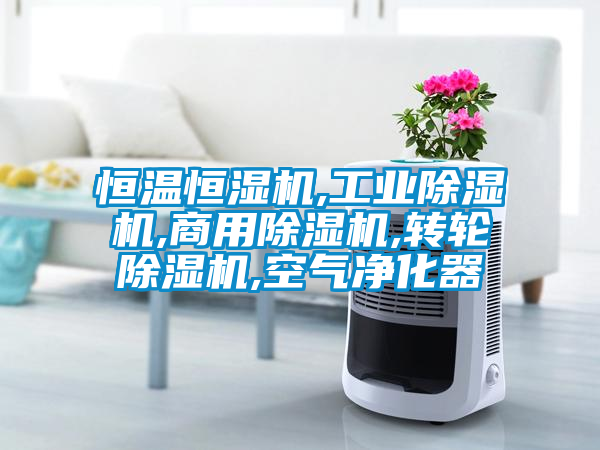 恒溫恒濕機,工業(yè)除濕機,商用除濕機,轉輪除濕機,空氣凈化器