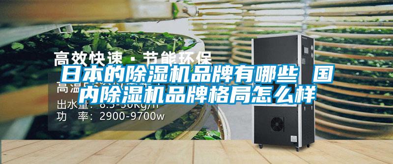 日本的除濕機品牌有哪些 國內(nèi)除濕機品牌格局怎么樣