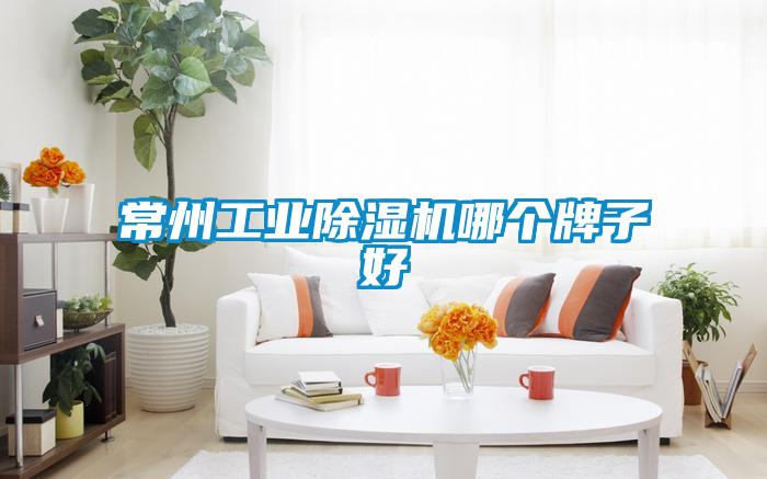 常州工業(yè)除濕機哪個牌子好