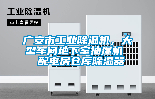 廣安市工業(yè)除濕機(jī)，大型車間地下室抽濕機(jī)  配電房倉(cāng)庫(kù)除濕器