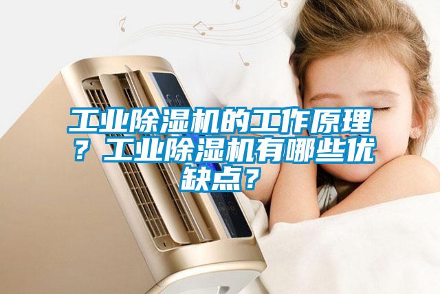 工業(yè)除濕機的工作原理？工業(yè)除濕機有哪些優(yōu)缺點？