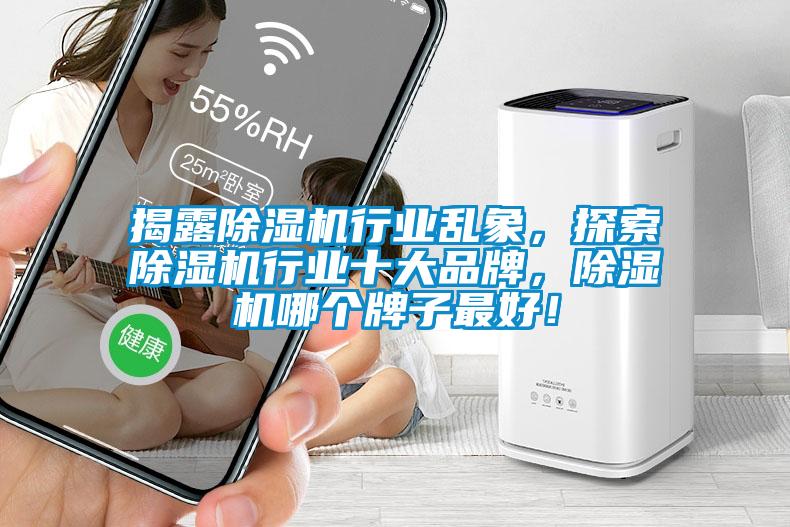 揭露除濕機(jī)行業(yè)亂象，探索除濕機(jī)行業(yè)十大品牌，除濕機(jī)哪個牌子最好！