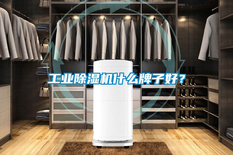 工業(yè)除濕機(jī)什么牌子好？