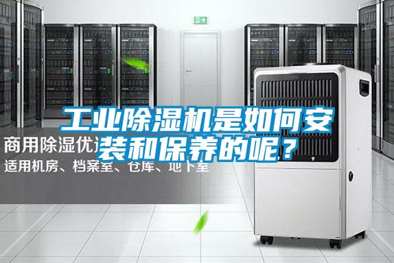 工業(yè)除濕機(jī)是如何安裝和保養(yǎng)的呢？