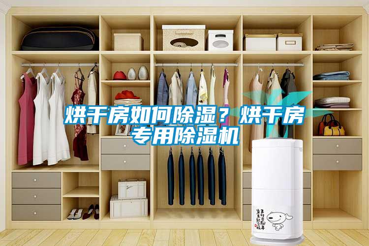烘干房如何除濕？烘干房專用除濕機(jī)