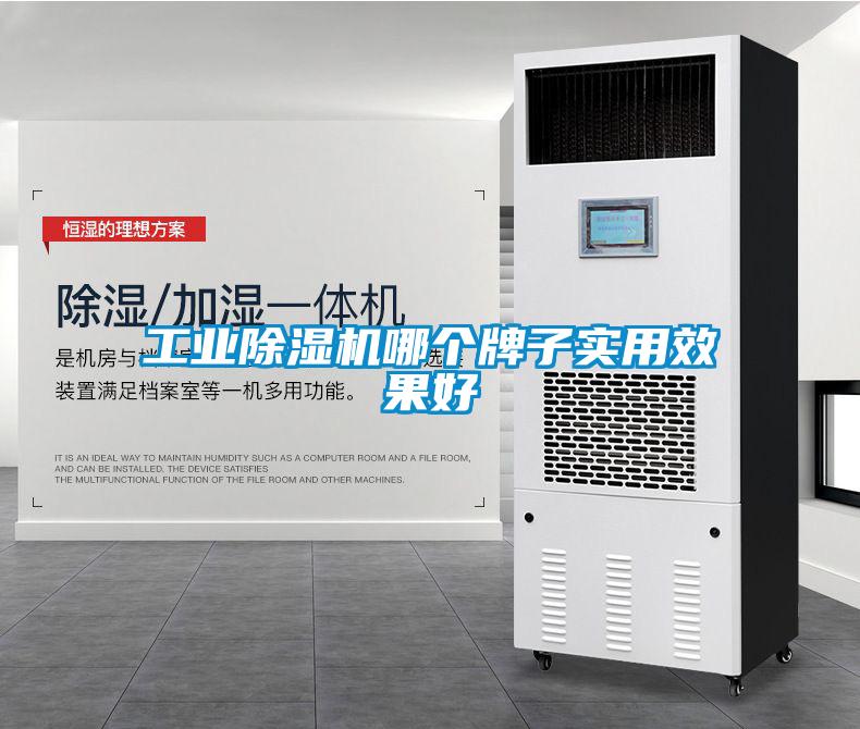 工業(yè)除濕機(jī)哪個(gè)牌子實(shí)用效果好