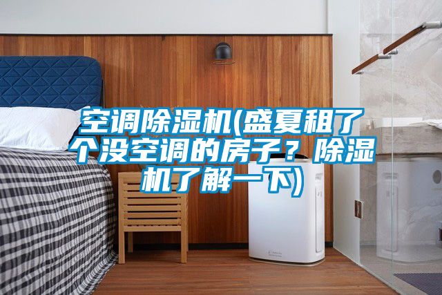 空調(diào)除濕機(jī)(盛夏租了個(gè)沒(méi)空調(diào)的房子？除濕機(jī)了解一下)