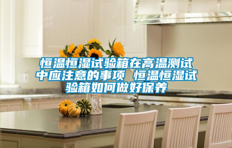 恒溫恒濕試驗(yàn)箱在高溫測試中應(yīng)注意的事項 恒溫恒濕試驗(yàn)箱如何做好保養(yǎng)