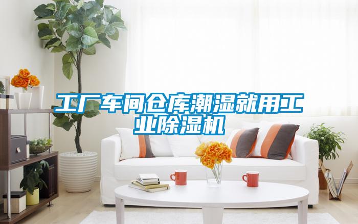 工廠車間倉庫潮濕就用工業(yè)除濕機(jī)
