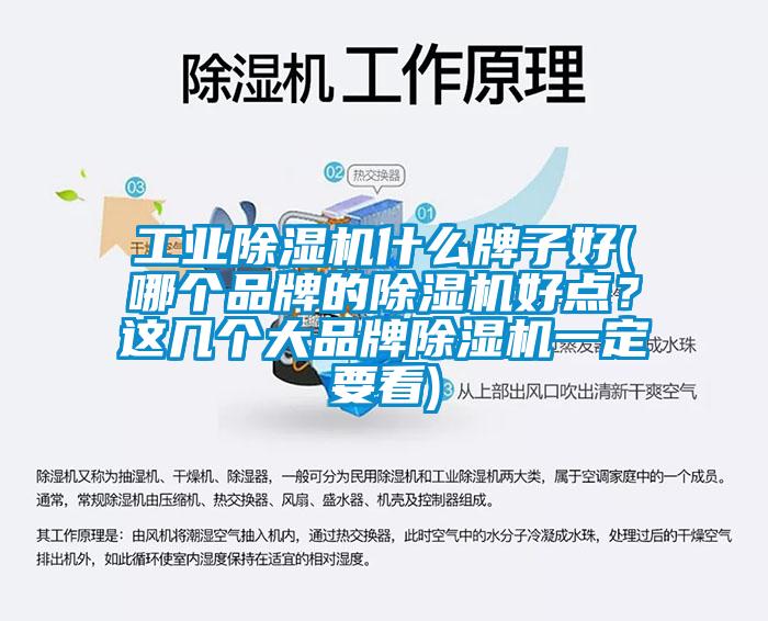 工業(yè)除濕機(jī)什么牌子好(哪個品牌的除濕機(jī)好點？這幾個大品牌除濕機(jī)一定要看)