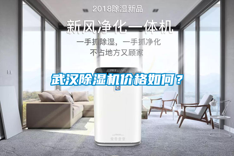 武漢除濕機(jī)價(jià)格如何？