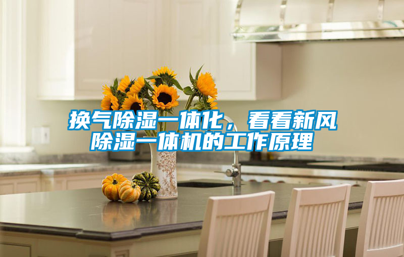 換氣除濕一體化，看看新風(fēng)除濕一體機(jī)的工作原理