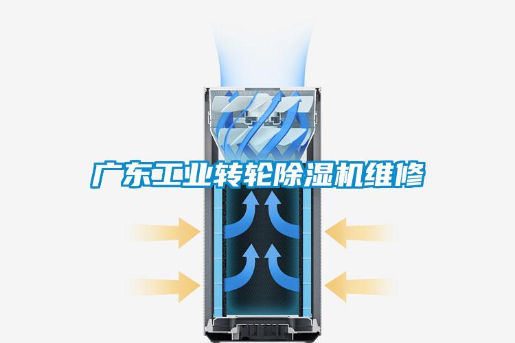 廣東工業(yè)轉(zhuǎn)輪除濕機(jī)維修