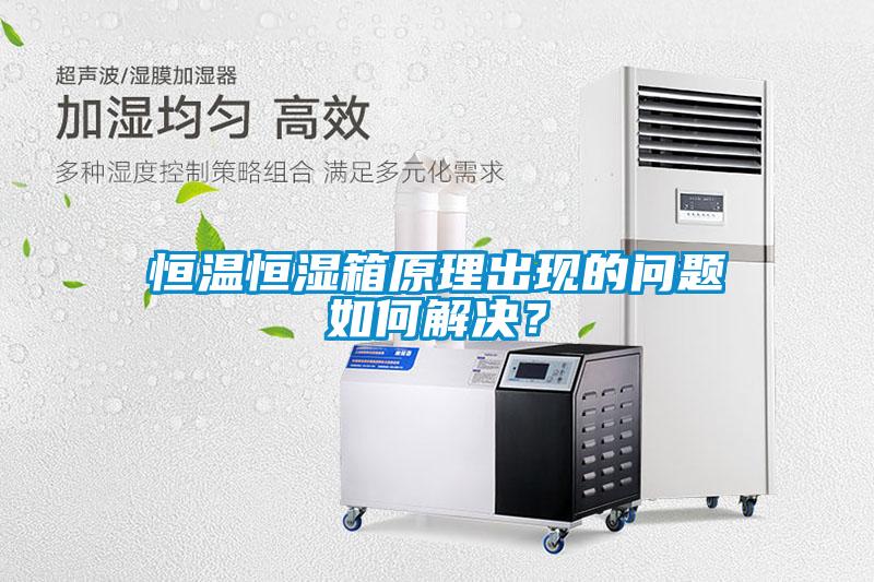 恒溫恒濕箱原理出現(xiàn)的問(wèn)題如何解決？