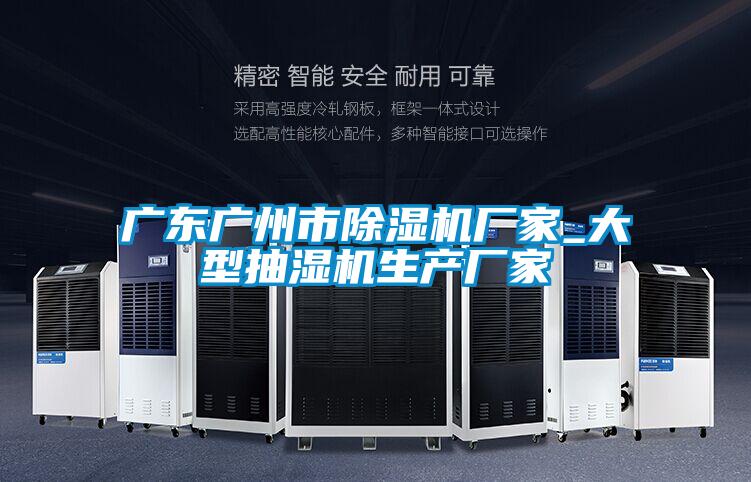 廣東廣州市除濕機廠家_大型抽濕機生產(chǎn)廠家