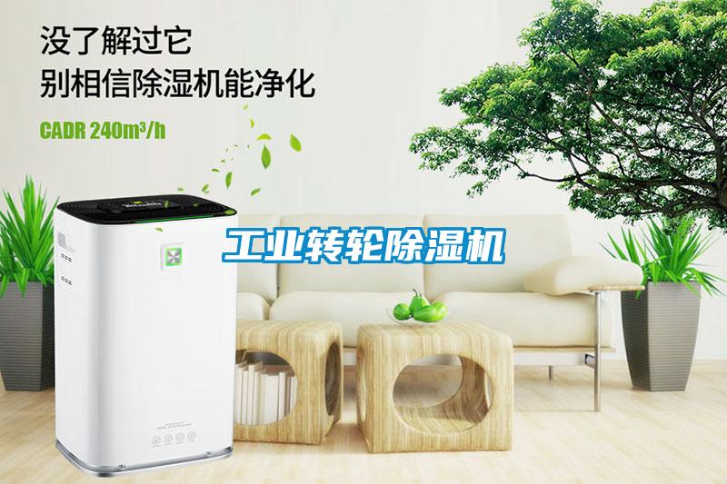 工業(yè)轉輪除濕機