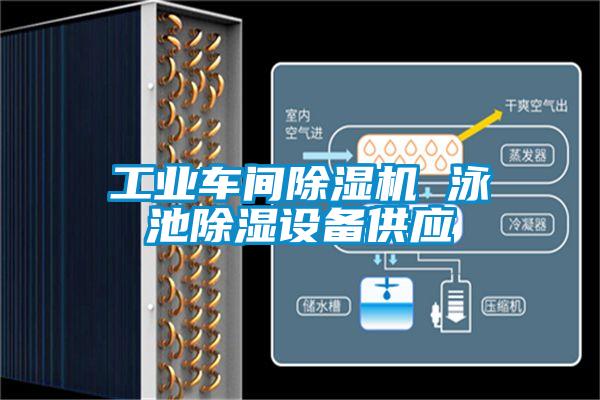 工業(yè)車間除濕機(jī) 泳池除濕設(shè)備供應(yīng)