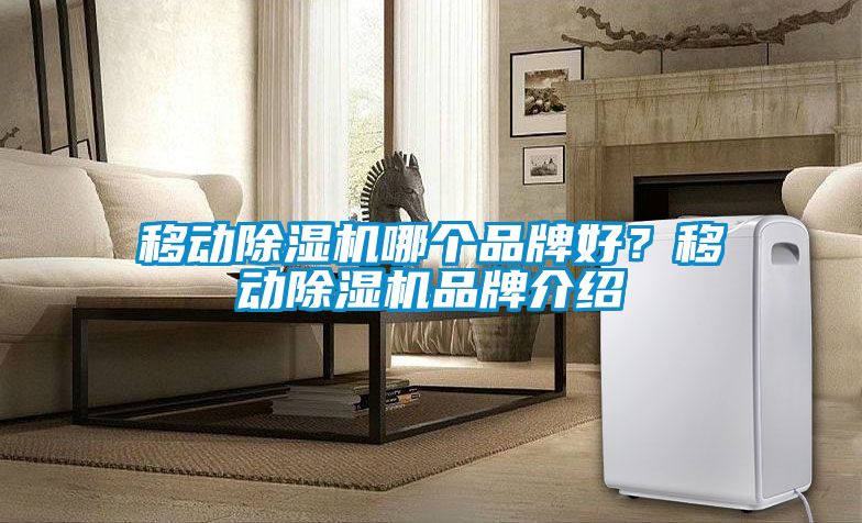 移動(dòng)除濕機(jī)哪個(gè)品牌好？移動(dòng)除濕機(jī)品牌介紹