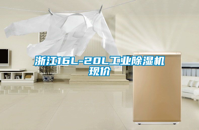 浙江16L-20L工業(yè)除濕機(jī)現(xiàn)價