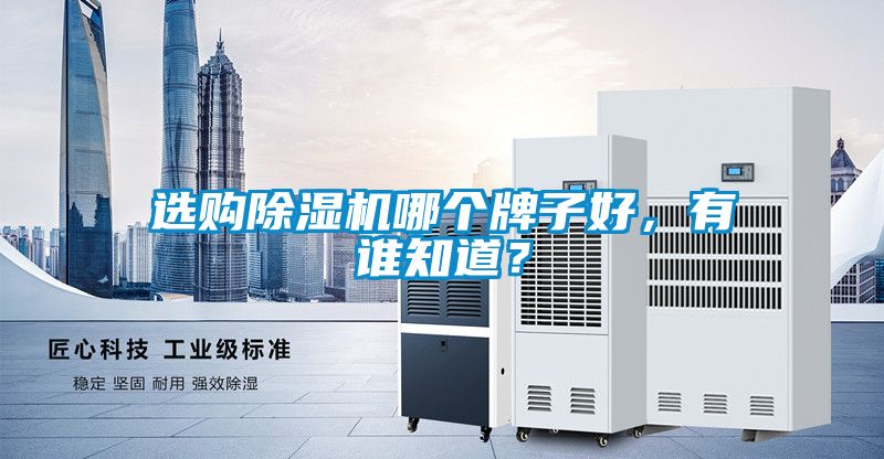 選購除濕機(jī)哪個牌子好，有誰知道？