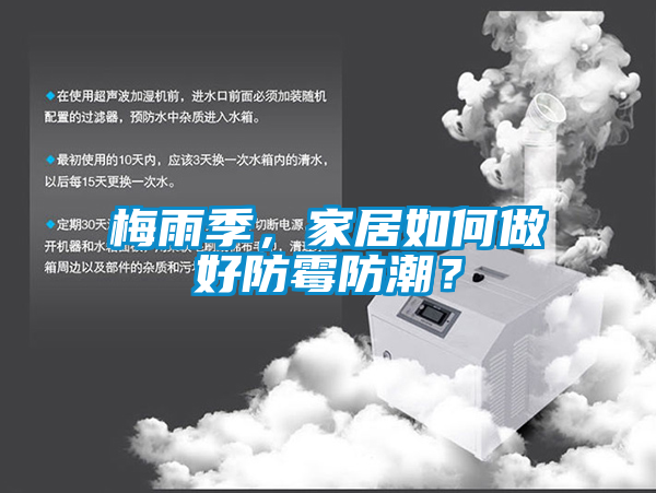 梅雨季，家居如何做好防霉防潮？