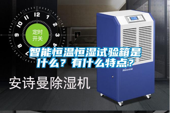 智能恒溫恒濕試驗(yàn)箱是什么？有什么特點(diǎn)？