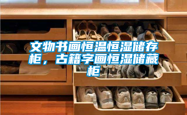 文物書畫恒溫恒濕儲存柜，古籍字畫恒濕儲藏柜