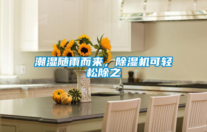 潮濕隨雨而來(lái)，除濕機(jī)可輕松除之
