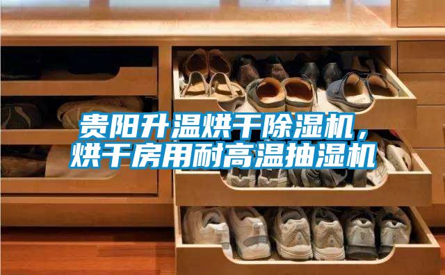 貴陽升溫烘干除濕機(jī)，烘干房用耐高溫抽濕機(jī)