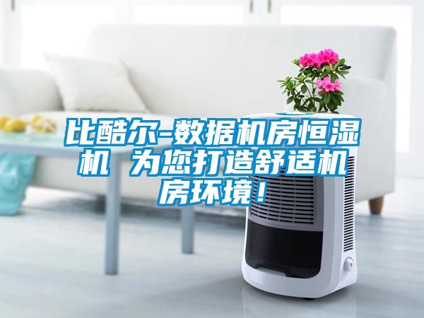 比酷爾-數(shù)據(jù)機(jī)房恒濕機(jī) 為您打造舒適機(jī)房環(huán)境！