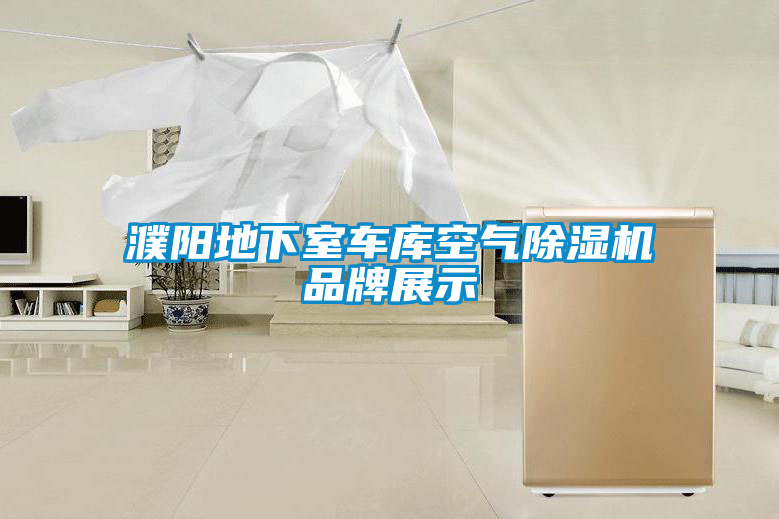 濮陽地下室車庫空氣除濕機品牌展示