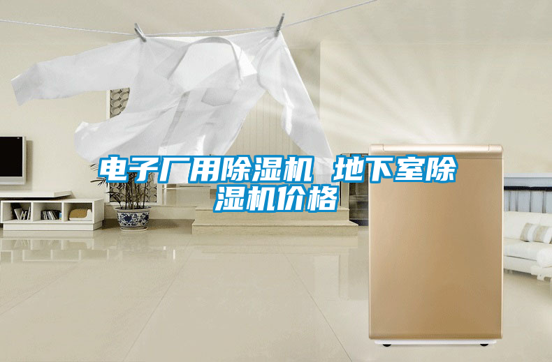 電子廠用除濕機 地下室除濕機價格