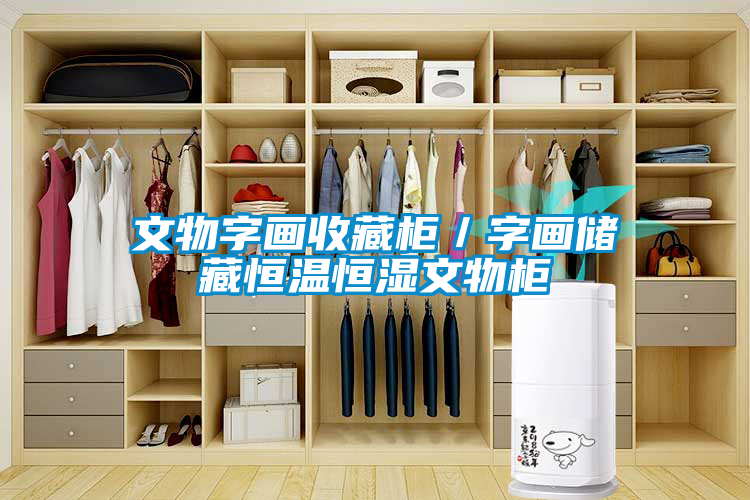 文物字畫(huà)收藏柜／字畫(huà)儲(chǔ)藏恒溫恒濕文物柜