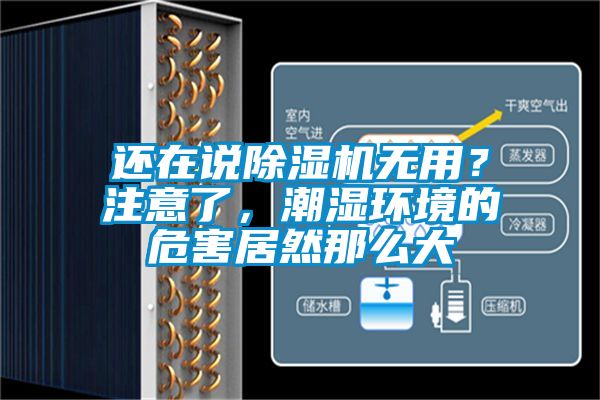 還在說除濕機(jī)無用？注意了，潮濕環(huán)境的危害居然那么大