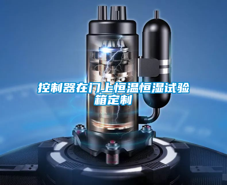 控制器在門上恒溫恒濕試驗(yàn)箱定制