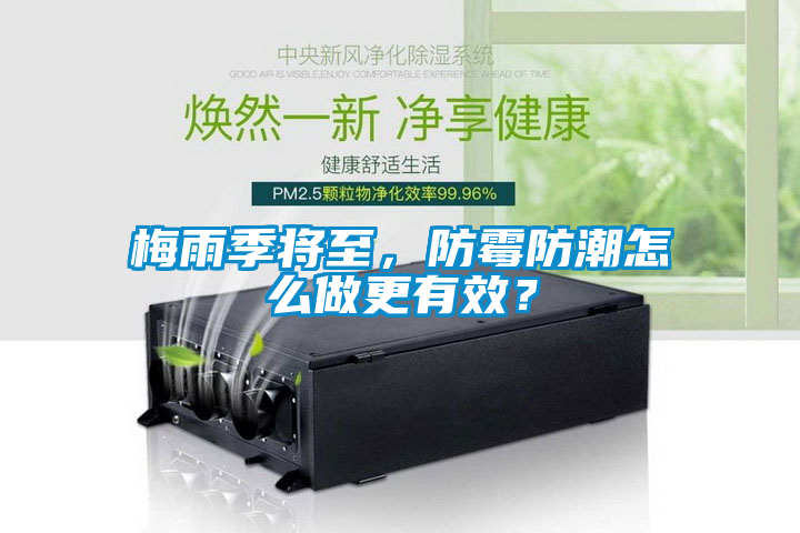 梅雨季將至，防霉防潮怎么做更有效？