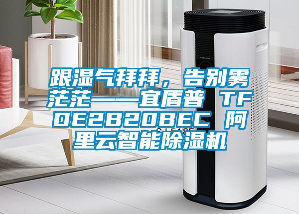 跟濕氣拜拜，告別霧茫?！硕芷?TFDE2B20BEC 阿里云智能除濕機