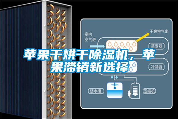 蘋果干烘干除濕機(jī)，蘋果滯銷新選擇