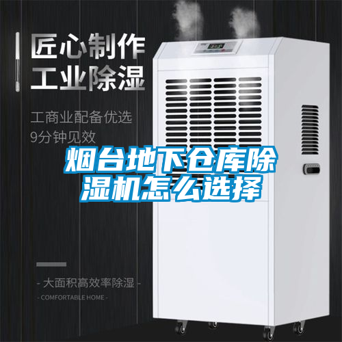 煙臺地下倉庫除濕機(jī)怎么選擇
