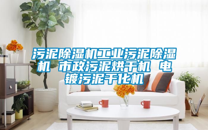 污泥除濕機工業(yè)污泥除濕機 市政污泥烘干機 電鍍污泥干化機