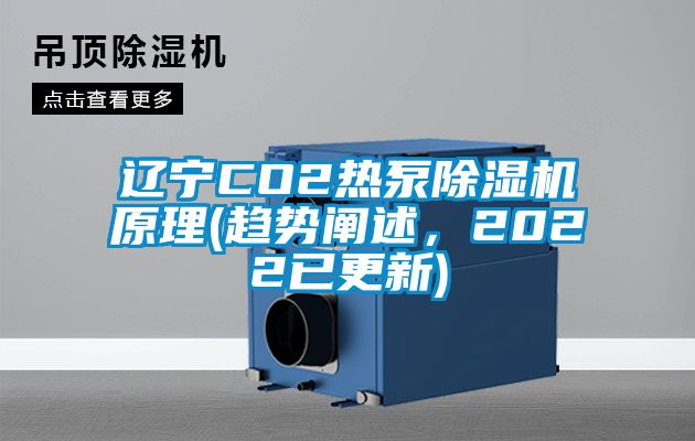 遼寧CO2熱泵除濕機原理(趨勢闡述，2022已更新)