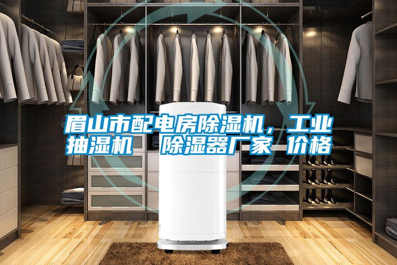 眉山市配電房除濕機，工業(yè)抽濕機  除濕器廠家 價格