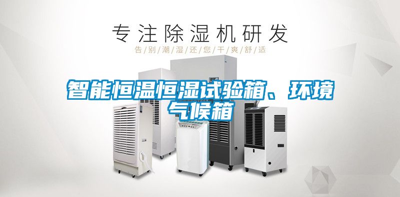 智能恒溫恒濕試驗(yàn)箱、環(huán)境氣候箱