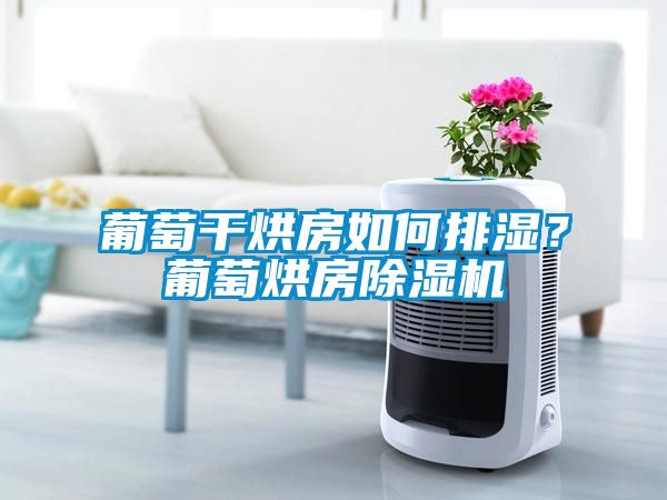 葡萄干烘房如何排濕？葡萄烘房除濕機(jī)