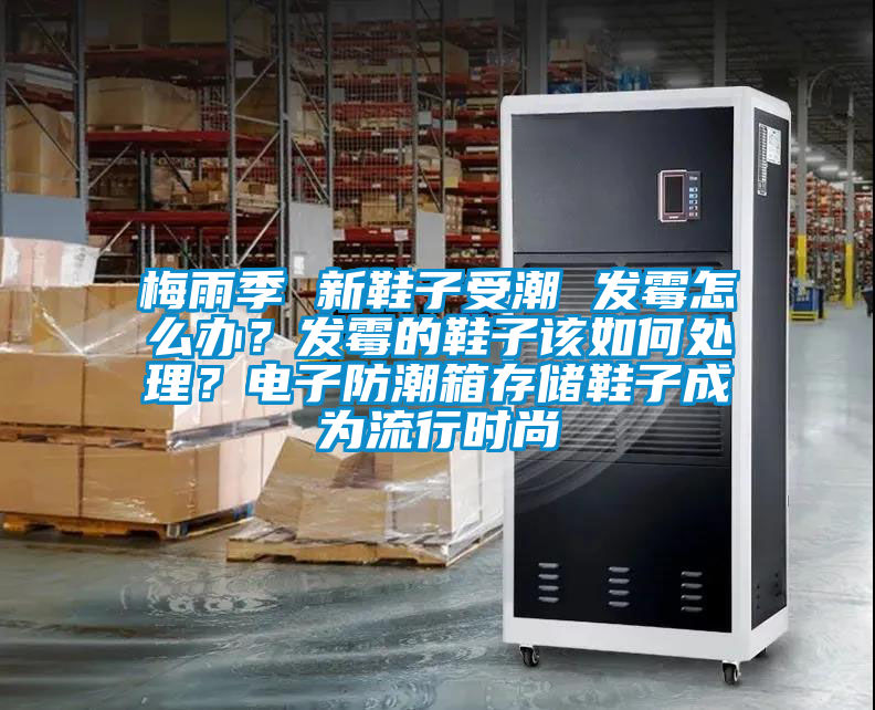 梅雨季 新鞋子受潮 發(fā)霉怎么辦？發(fā)霉的鞋子該如何處理？電子防潮箱存儲鞋子成為流行時(shí)尚