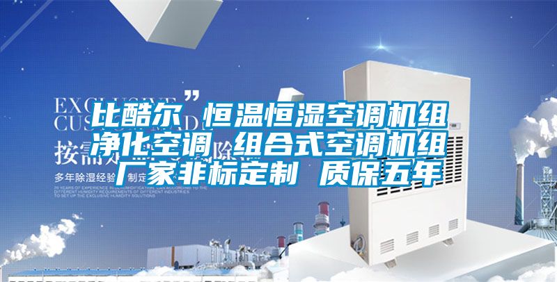 比酷爾 恒溫恒濕空調(diào)機(jī)組 凈化空調(diào) 組合式空調(diào)機(jī)組 廠家非標(biāo)定制 質(zhì)保五年
