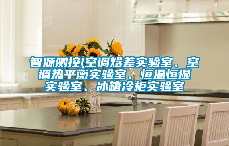 智源測(cè)控(空調(diào)焓差實(shí)驗(yàn)室、空調(diào)熱平衡實(shí)驗(yàn)室、恒溫恒濕實(shí)驗(yàn)室、冰箱冷柜實(shí)驗(yàn)室