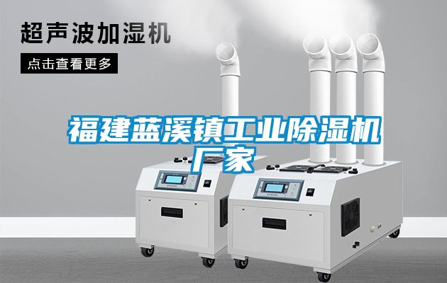 福建藍(lán)溪鎮(zhèn)工業(yè)除濕機(jī)廠家
