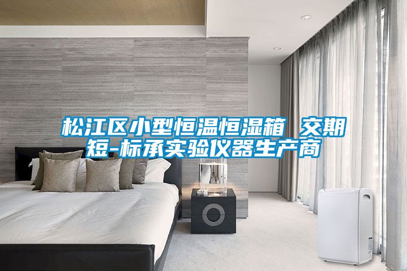 松江區(qū)小型恒溫恒濕箱 交期短-標(biāo)承實(shí)驗(yàn)儀器生產(chǎn)商